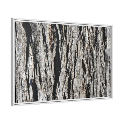 Bark Lines - Unique Stretched Canvas Wall Art - Art By Earth