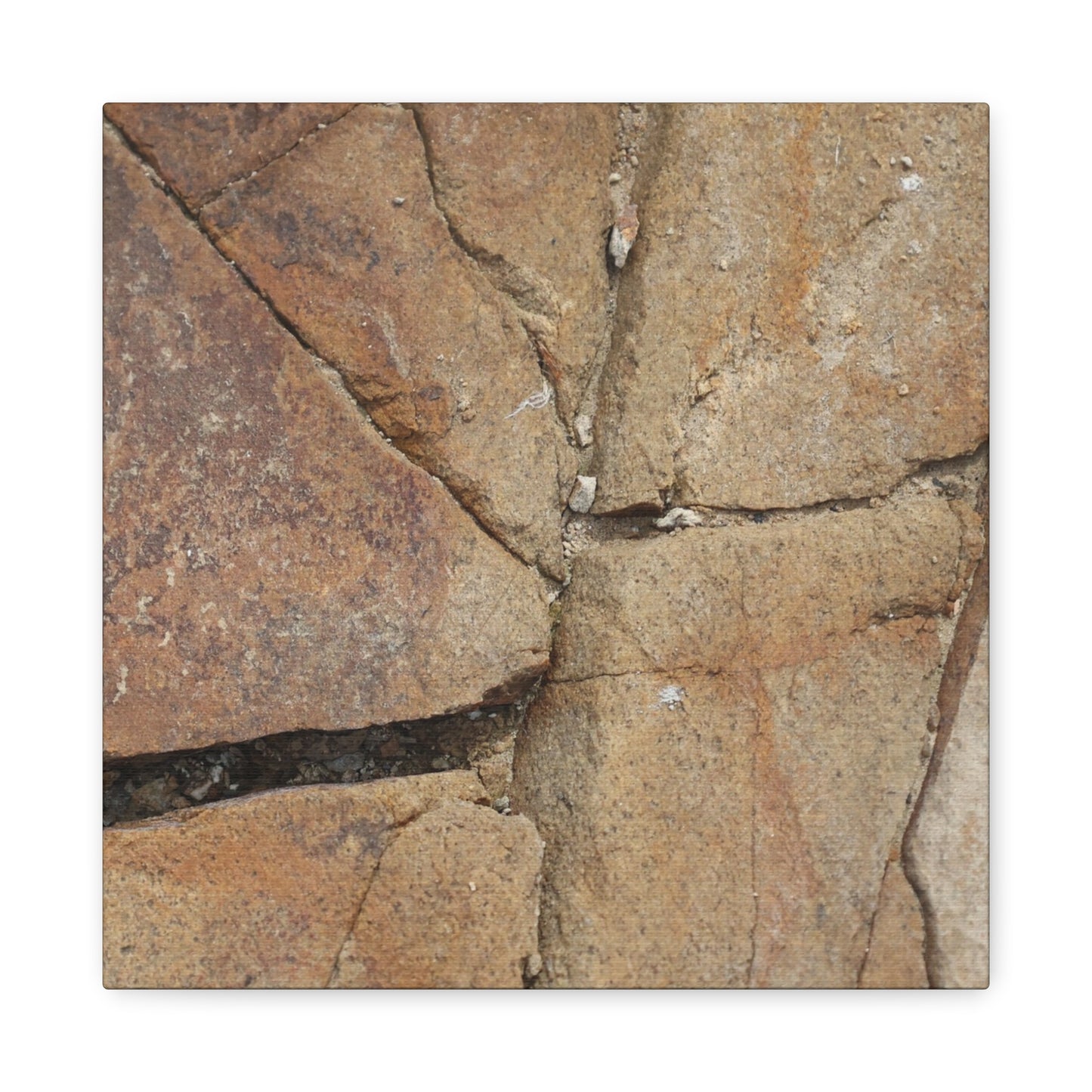 Cracked Earth's Canvas - Unique Frameless Canvas Wall Art - Art By Earth