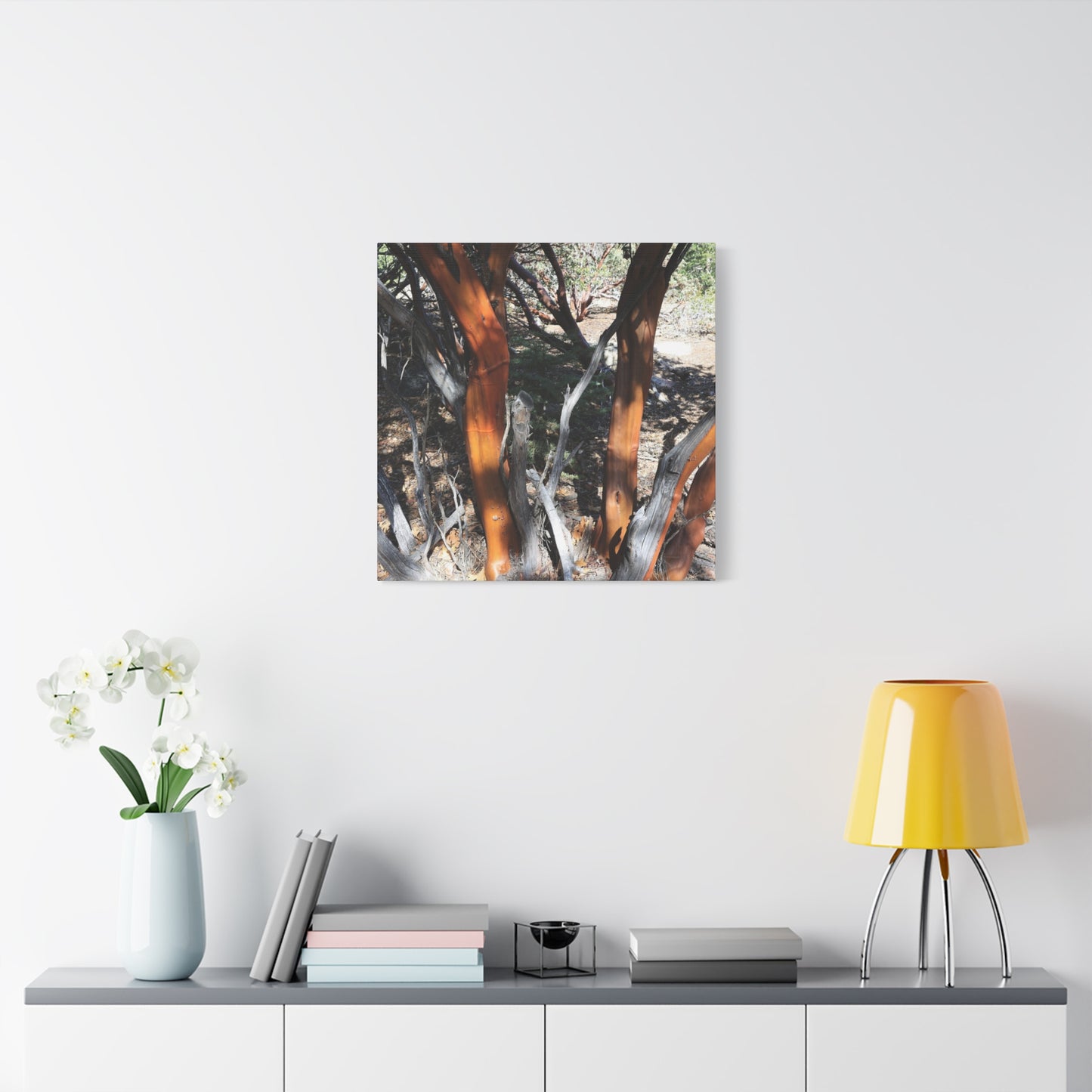 Peeling Bark of Ancient Trees - Unique Frameless Canvas Wall Art