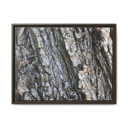 Twisted Textures - Unique Stretched Canvas Wall Art - Art By Earth