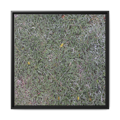 Grassy Texture - Unique Stretched Canvas Wall Art - Art By Earth
