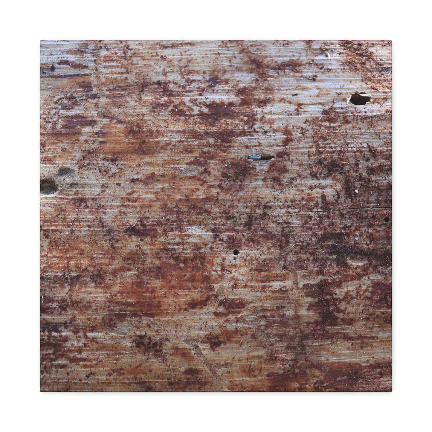 Decaying Memoir - Unique Frameless Canvas Wall Art - Art By Earth