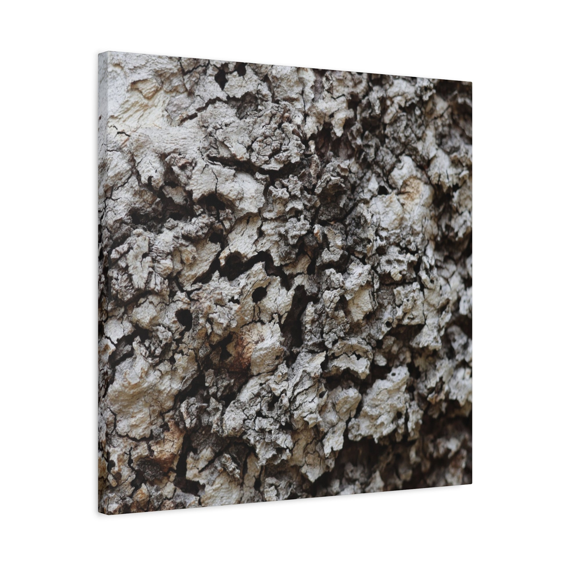 Cracked Earth Tapestry - Unique Frameless Canvas Wall Art - Art By Earth