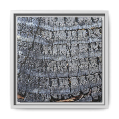 Charred Memories - Unique Stretched Canvas Wall Art - Art By Earth