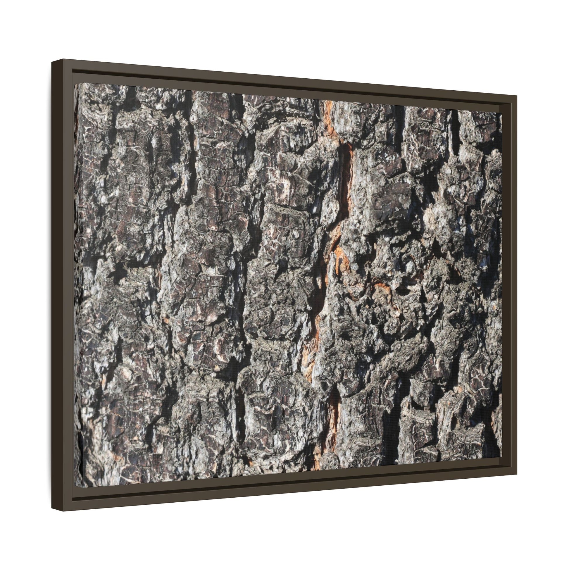 Aged Beauty - Unique Stretched Canvas Wall Art - Art By Earth