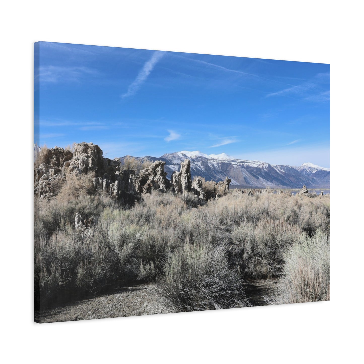 Echoes of Solitude - Unique Frameless Canvas Wall Art