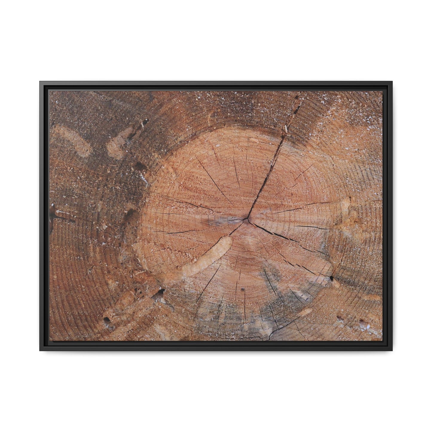 Concentric Memories - Unique Stretched Canvas Wall Art - Art By Earth