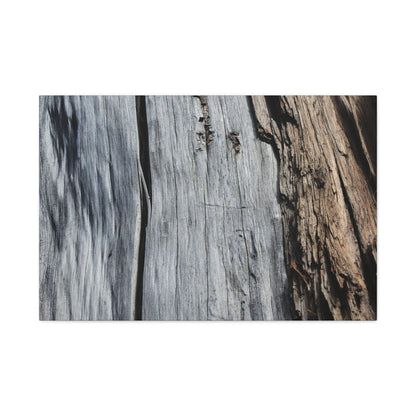 Fracture Lines - Unique Frameless Canvas Wall Art - Art By Earth