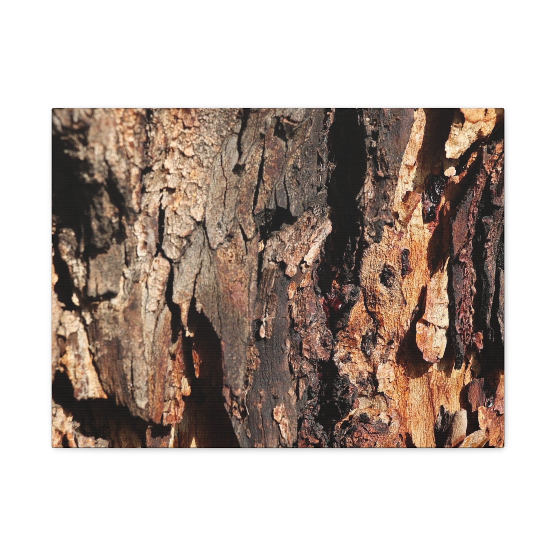 Wooden Terrain - Unique Frameless Canvas Wall Art - Art By Earth