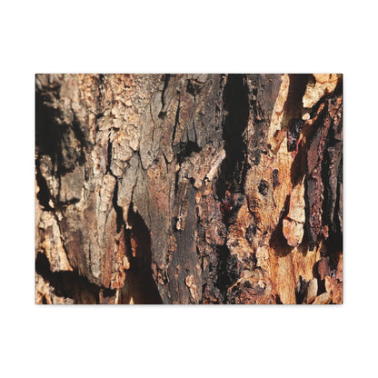 Wooden Terrain - Unique Frameless Canvas Wall Art - Art By Earth