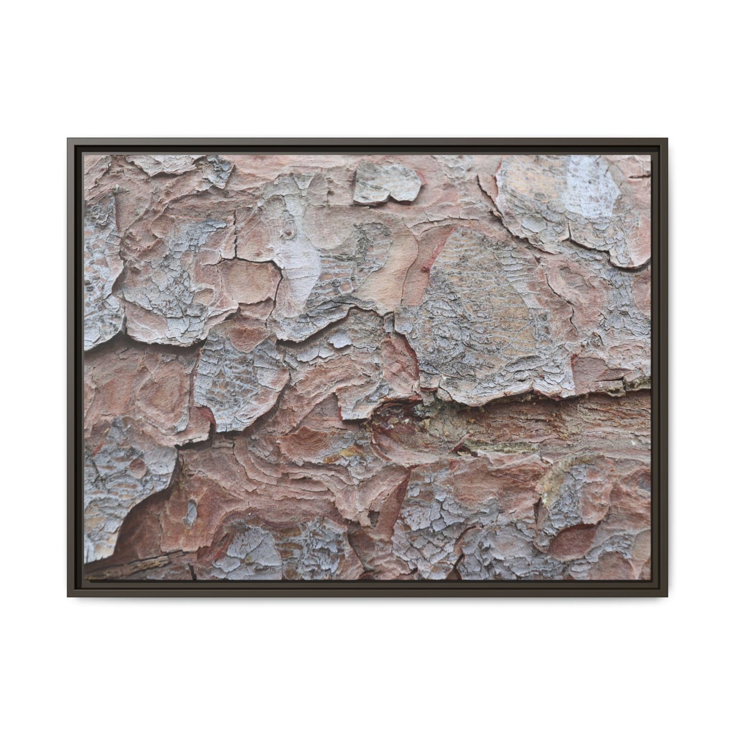 Flaking Serenity - Unique Stretched Canvas Wall Art - Art By Earth