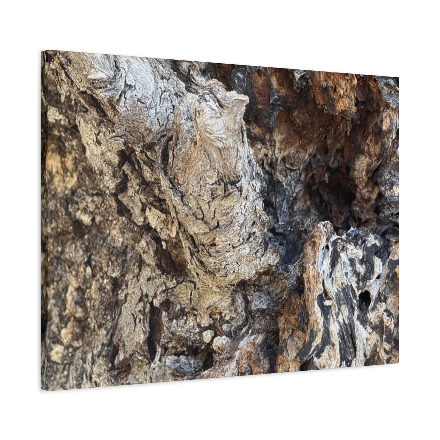 Weathered Bark Texture - Unique Frameless Canvas Wall Art - Art By Earth