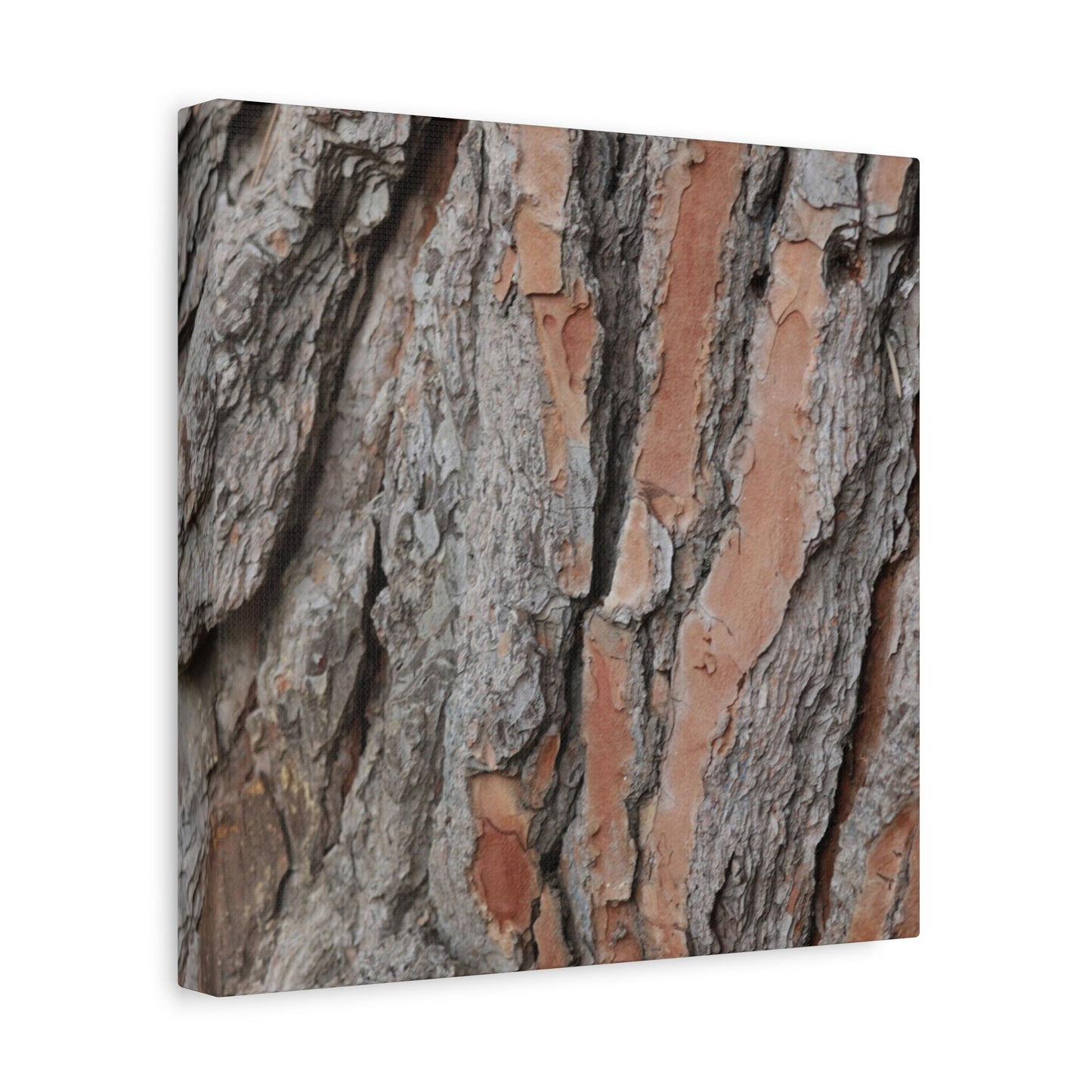 Fractal Landscape - Unique Frameless Canvas Wall Art - Art By Earth