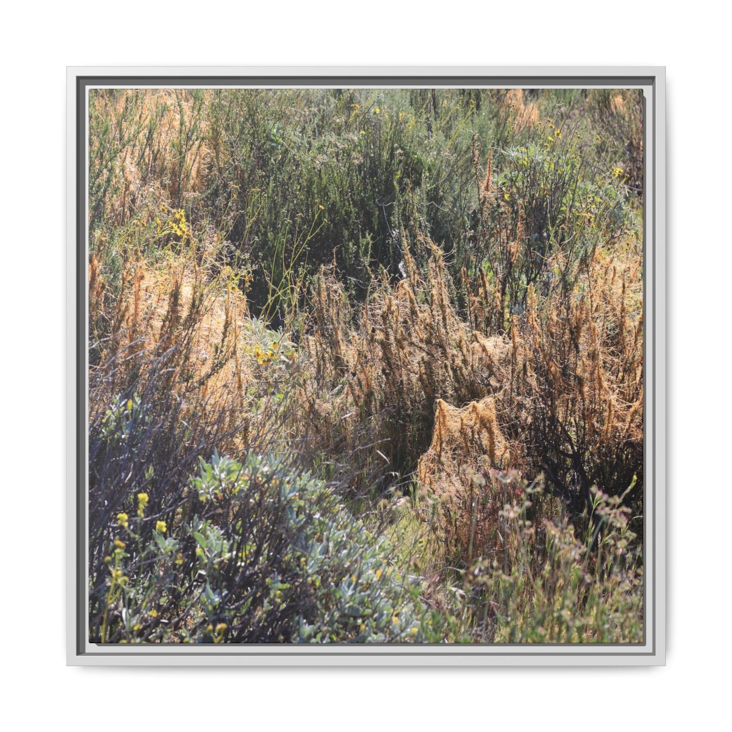 Drought-Stricken Landscape - Unique Stretched Canvas Wall Art - Art By Earth