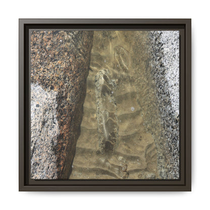 Between Concrete Walls - Unique Stretched Canvas Wall Art - Art By Earth