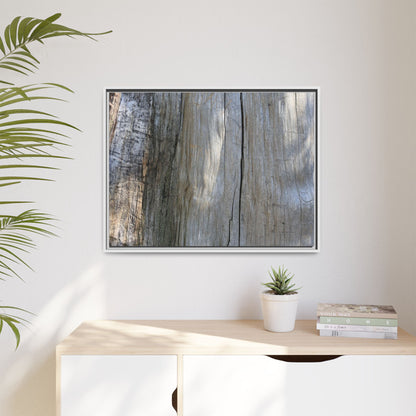 Cracked Timber Texture - Unique Stretched Canvas Wall Art