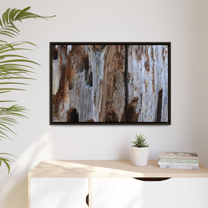 Decaying Splendor - Unique Stretched Canvas Wall Art - Art By Earth