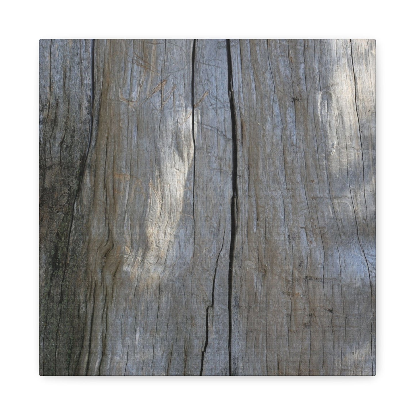 Split Log - Unique Frameless Canvas Wall Art