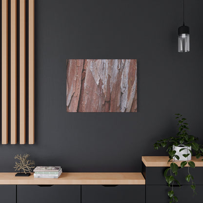 Peeling Paint - Unique Frameless Canvas Wall Art - Art By Earth