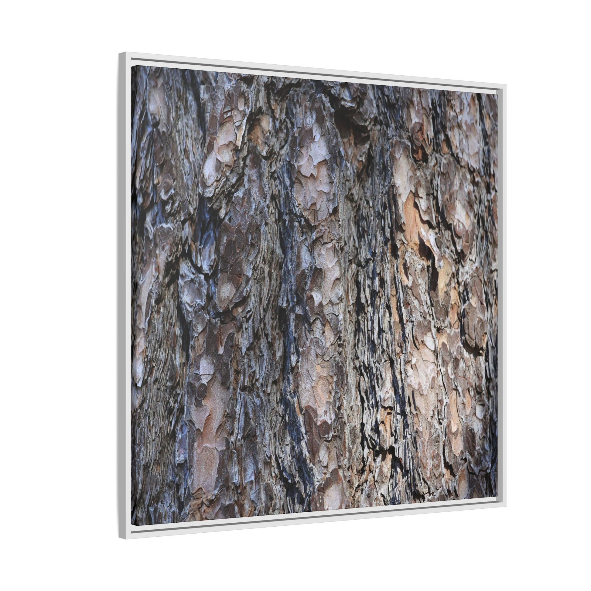 Weathered Patterns - Unique Stretched Canvas Wall Art - Art By Earth