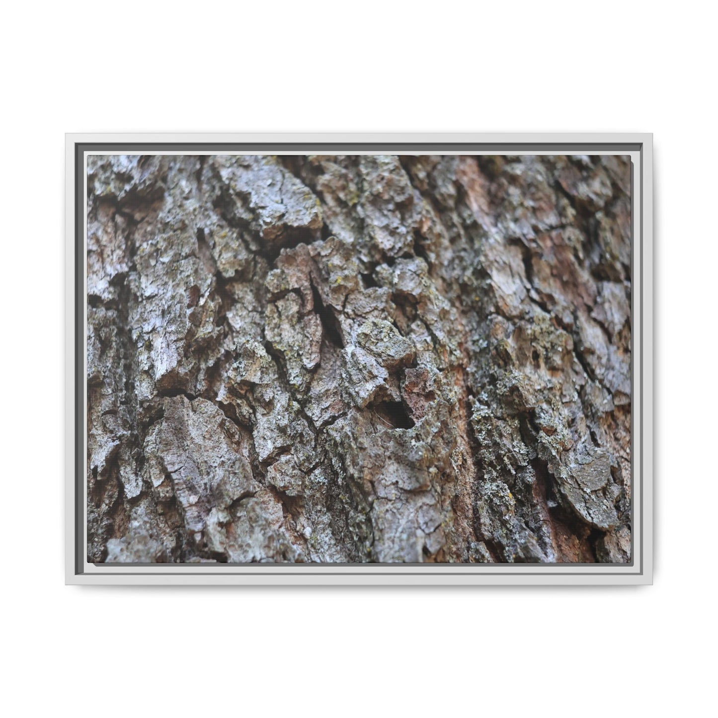 Woodland Canvas - Unique Stretched Canvas Wall Art - Art By Earth