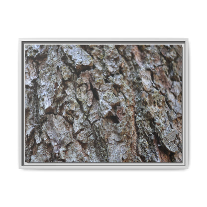 Woodland Canvas - Unique Stretched Canvas Wall Art - Art By Earth