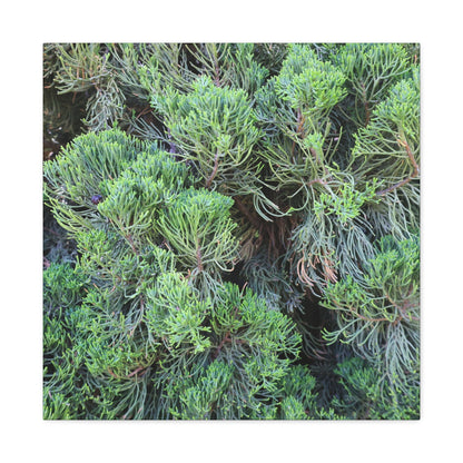 Green Labyrinth - Unique Frameless Canvas Wall Art - Art By Earth