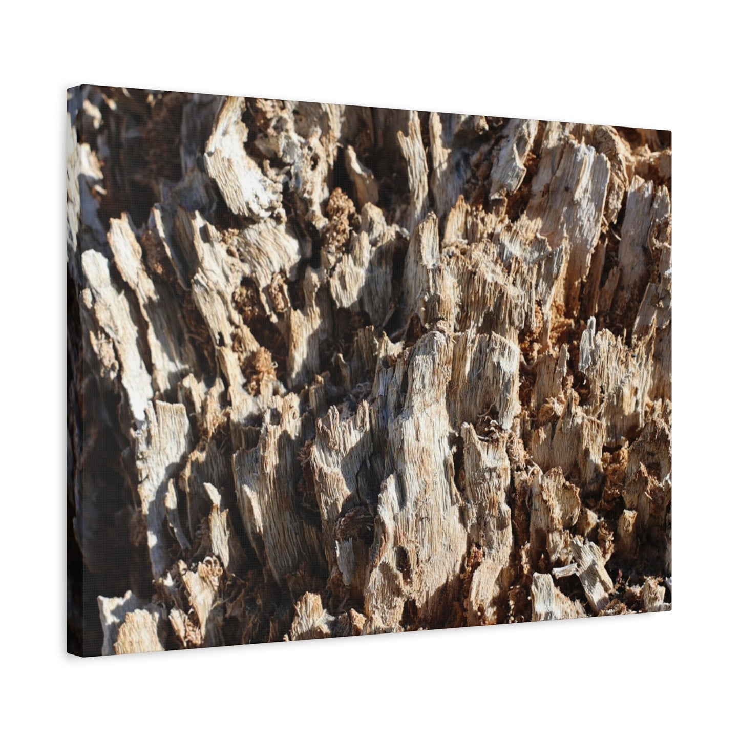 Decaying Bark Symphony - Unique Frameless Canvas Wall Art