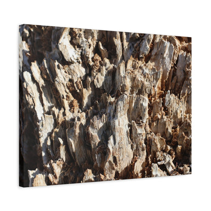 Decaying Bark Symphony - Unique Frameless Canvas Wall Art
