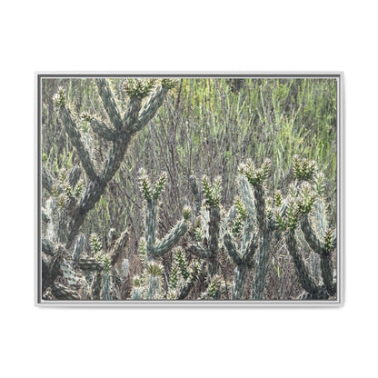 Prickly Paradise - Unique Stretched Canvas Wall Art - Art By Earth
