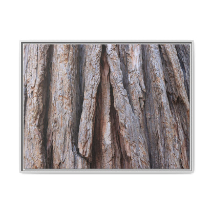 Nature's Sculpture - Unique Stretched Canvas Wall Art - Art By Earth