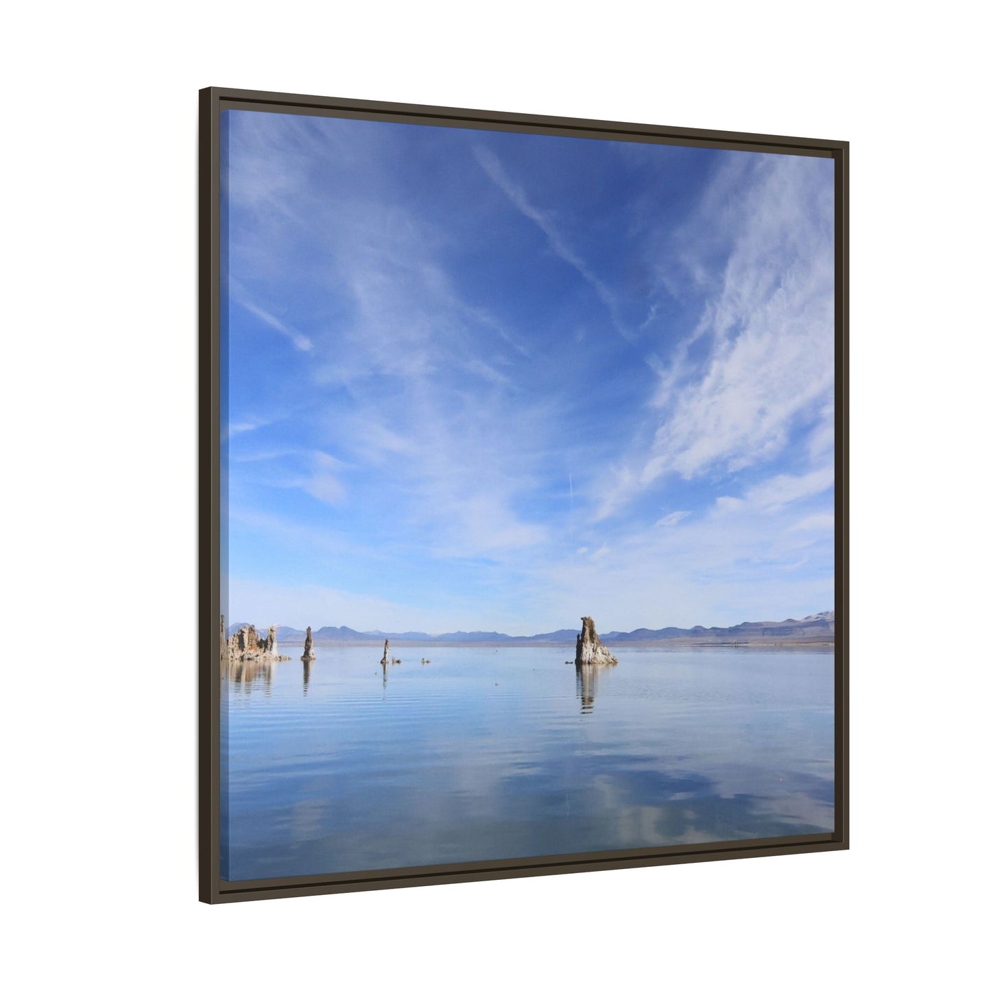 Whispers of Stillness - Unique Stretched Canvas Wall Art