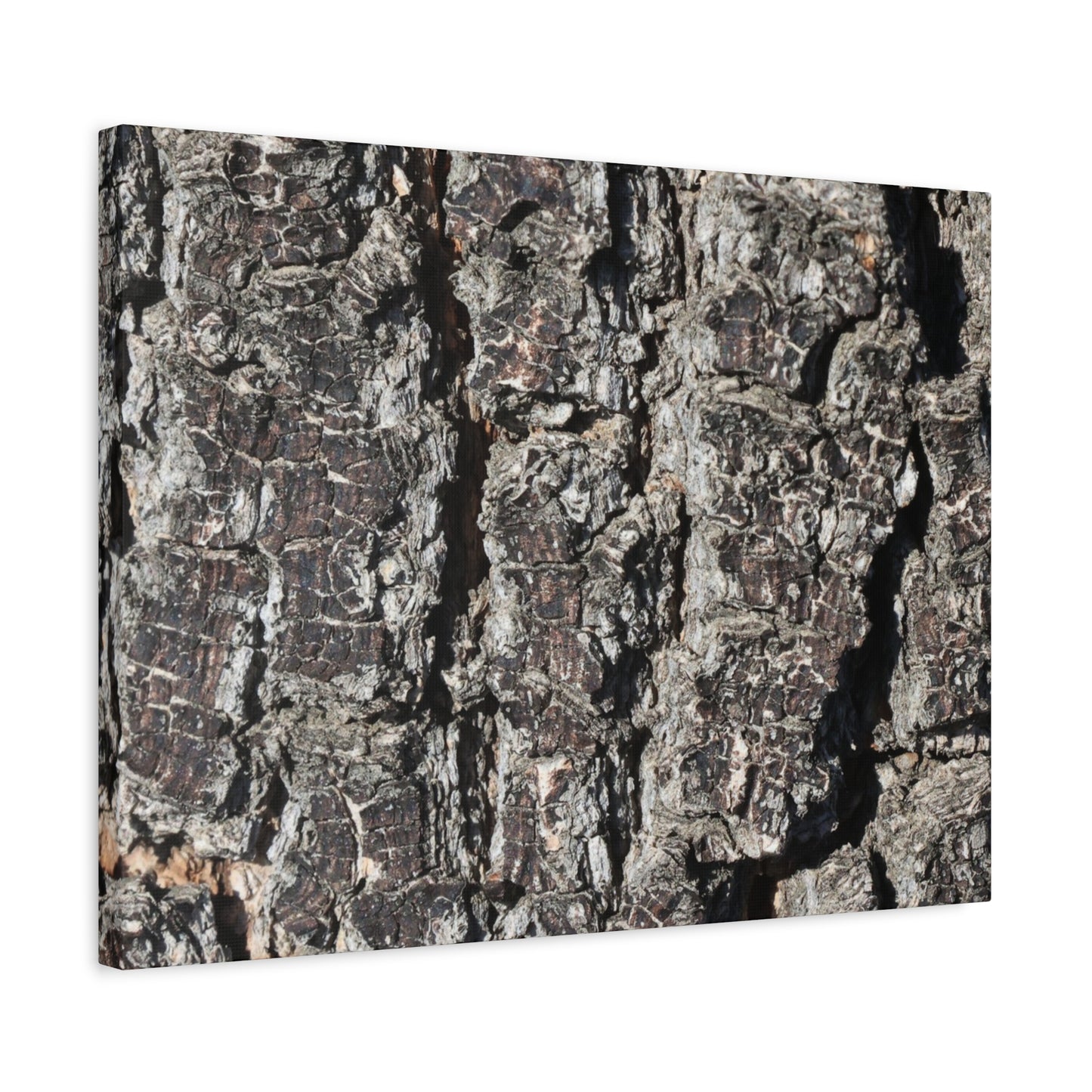 Cracked Skin of Earth - Unique Frameless Canvas Wall Art - Art By Earth