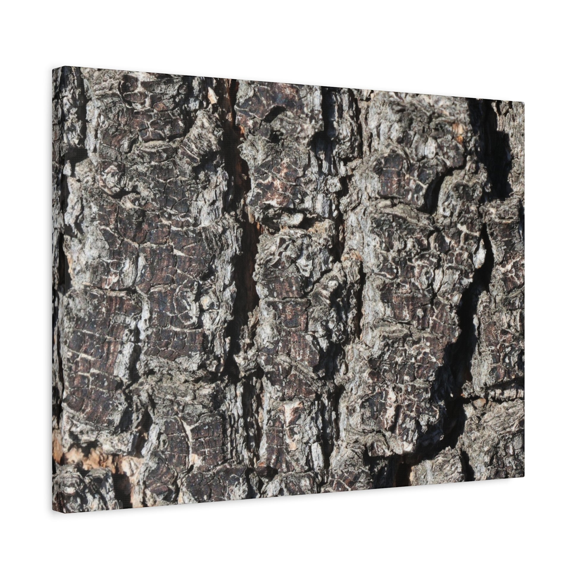 Cracked Skin of Earth - Unique Frameless Canvas Wall Art - Art By Earth