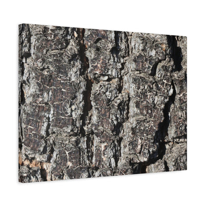 Cracked Skin of Earth - Unique Frameless Canvas Wall Art - Art By Earth