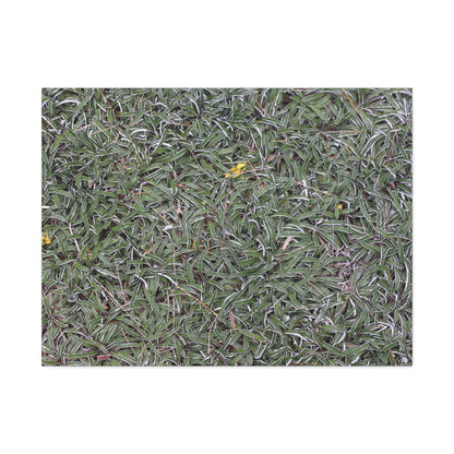 Tangled Memories - Unique Frameless Canvas Wall Art - Art By Earth