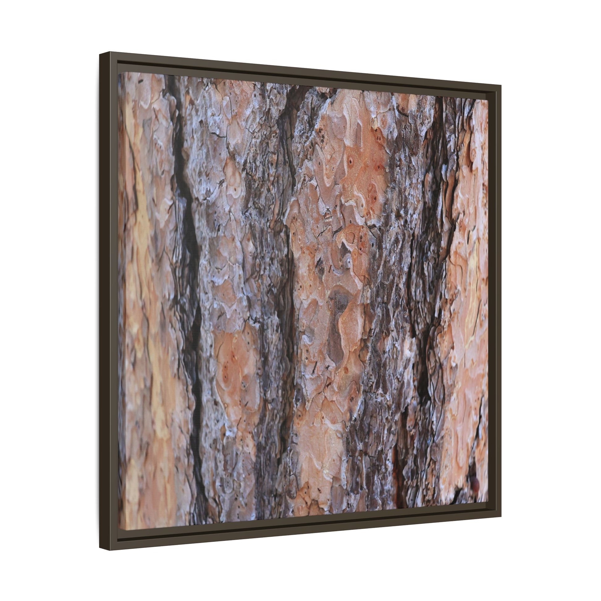 Earthy Embrace - Unique Stretched Canvas Wall Art - Art By Earth