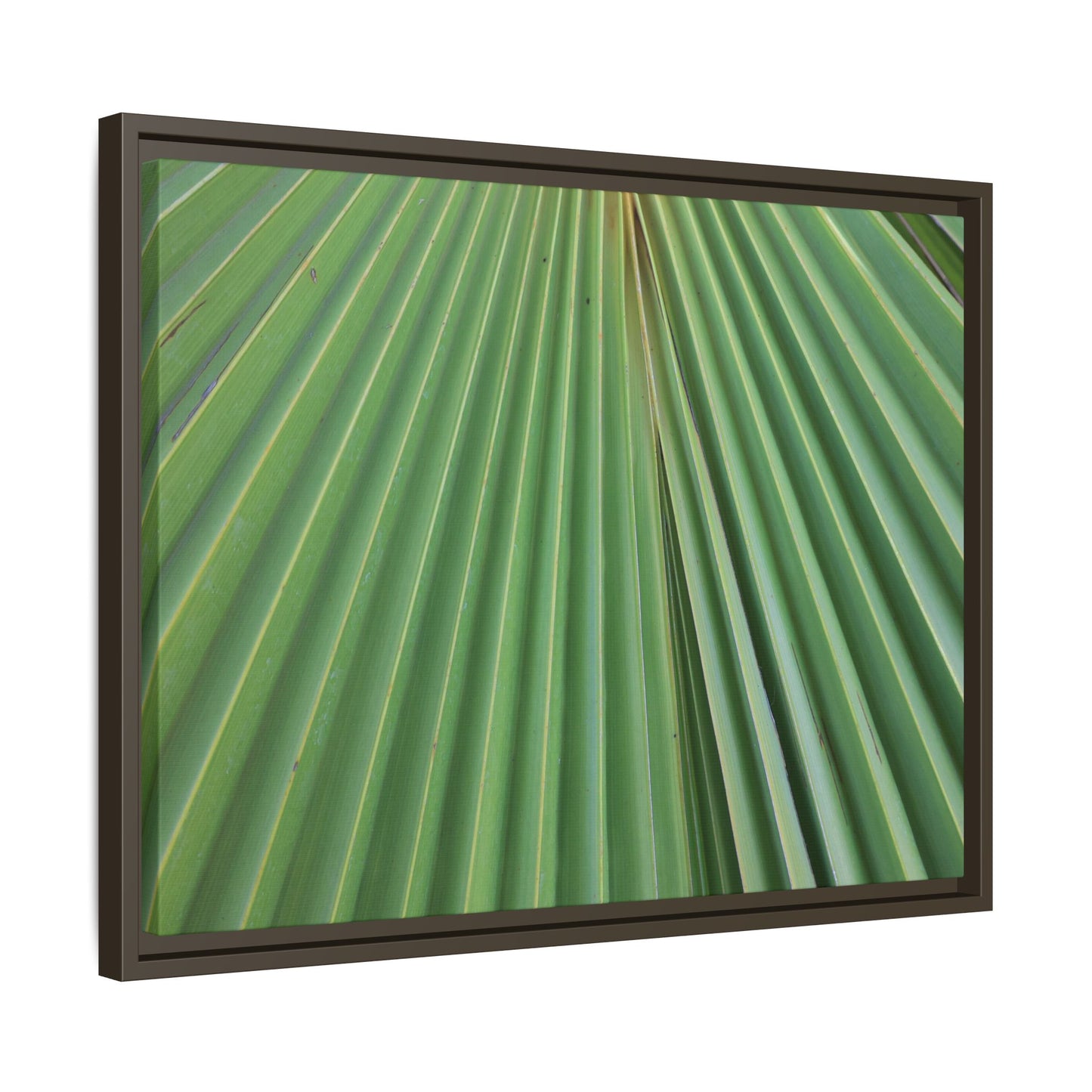 Verdant Veins - Unique Stretched Canvas Wall Art - Art By Earth