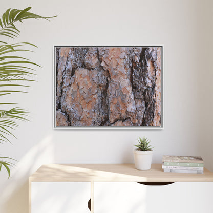 Tree Skin Symphony - Unique Stretched Canvas Wall Art - Art By Earth
