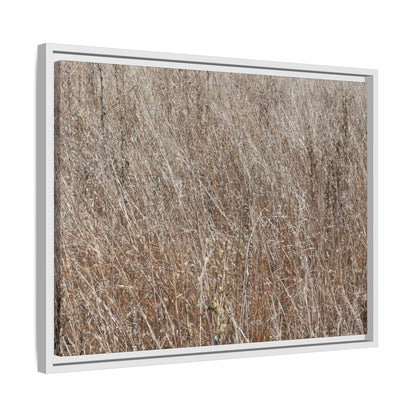 Dry Grass Symphony - Unique Stretched Canvas Wall Art - Art By Earth