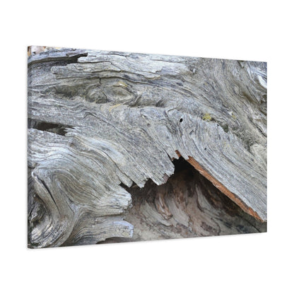 Whispers of Ancient Wood - Unique Frameless Canvas Wall Art - Art By Earth