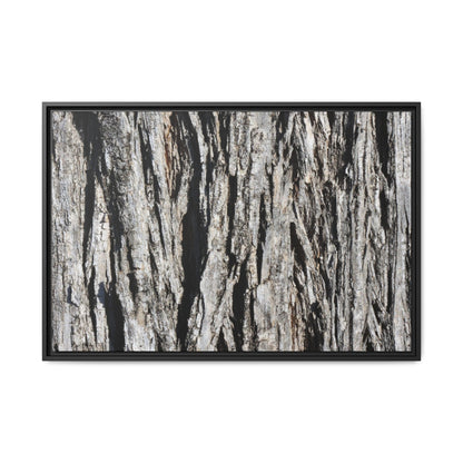 Bark Lines - Unique Stretched Canvas Wall Art - Art By Earth