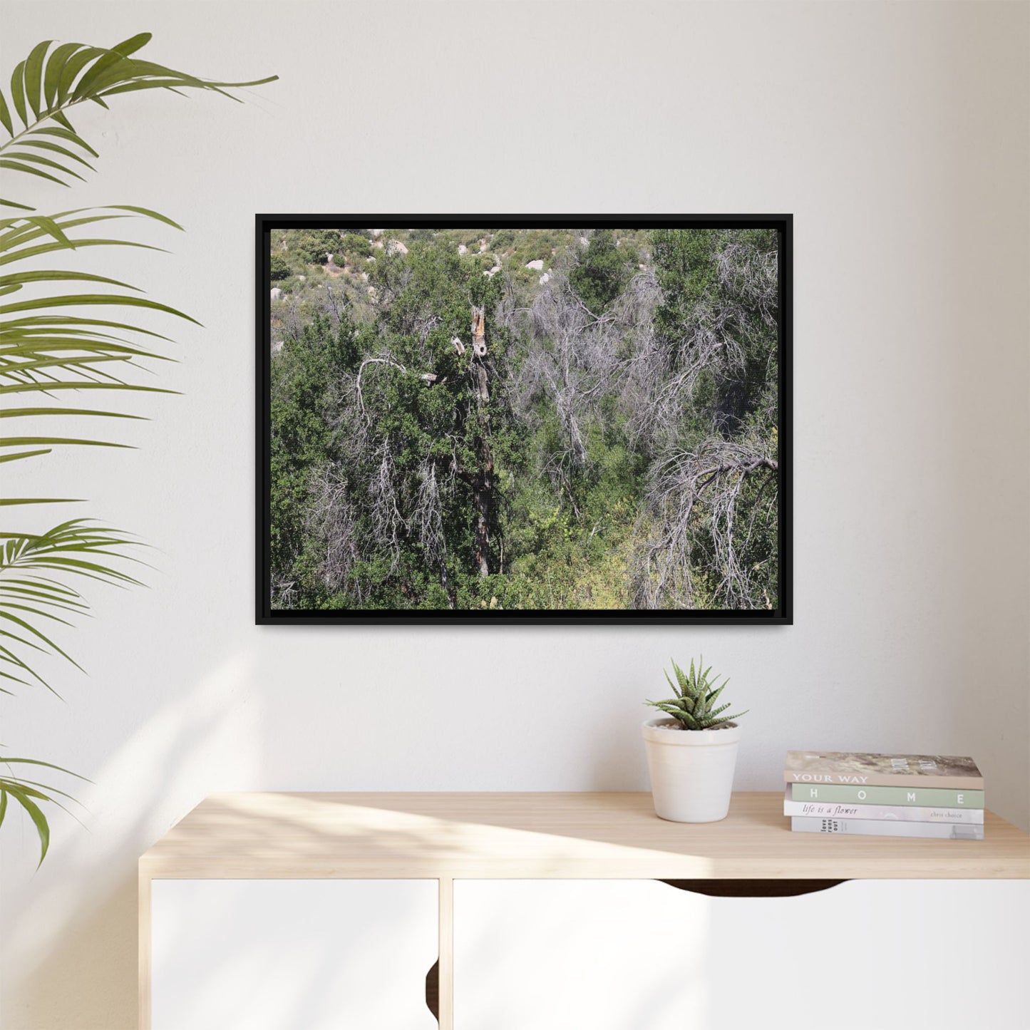 Forest Decline - Unique Stretched Canvas Wall Art