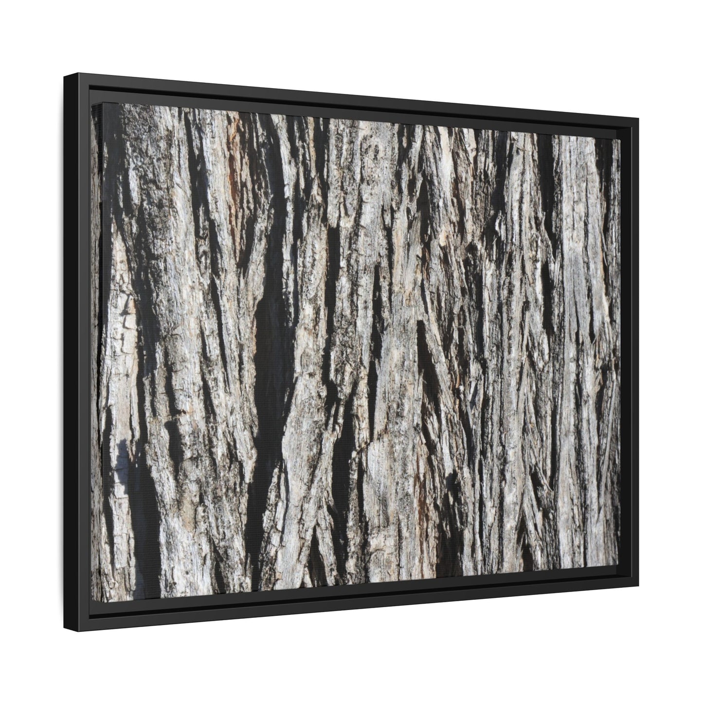 Nature's Abstract - Unique Stretched Canvas Wall Art - Art By Earth