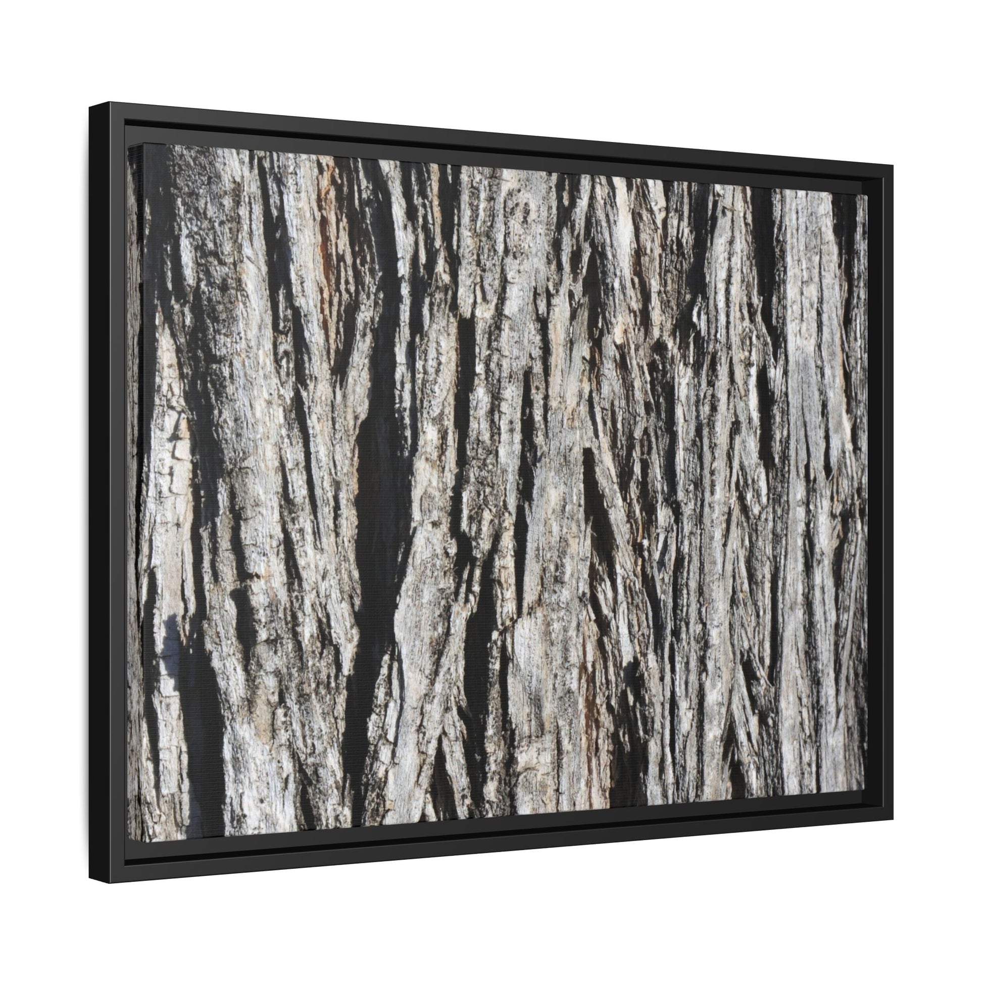 Nature's Abstract - Unique Stretched Canvas Wall Art - Art By Earth