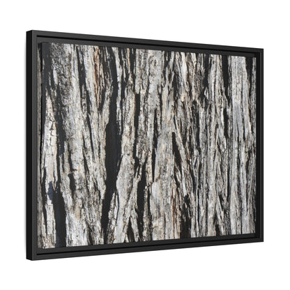 Nature's Abstract - Unique Stretched Canvas Wall Art - Art By Earth
