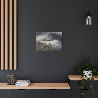 Stone Face in Nature - Unique Frameless Canvas Wall Art