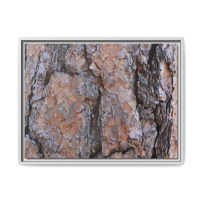 Tree Skin Symphony - Unique Stretched Canvas Wall Art - Art By Earth