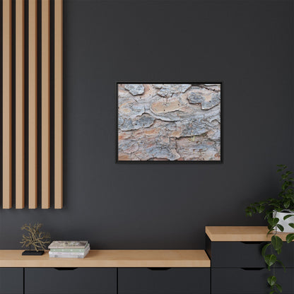 Peeling Memories - Unique Stretched Canvas Wall Art - Art By Earth