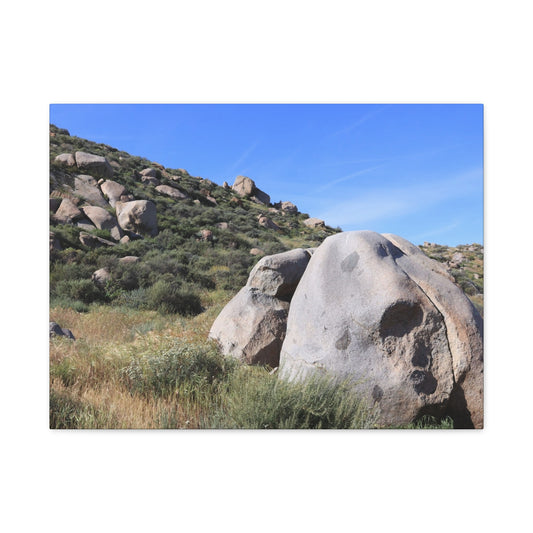 Stone Guardian - Unique Frameless Canvas Wall Art - Art By Earth